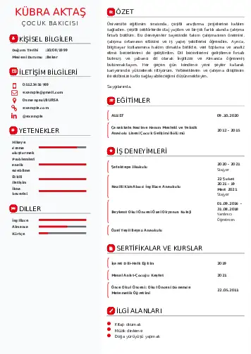 Çocuk Bakıcısı CV Örnekleri cv indir